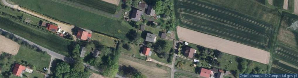 Zdjęcie satelitarne Grzybowa ul.