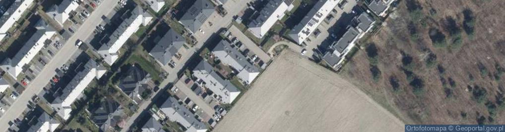 Zdjęcie satelitarne Grzybowa ul.