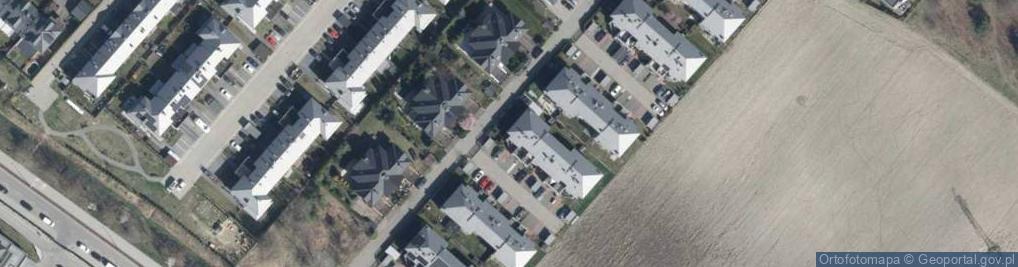 Zdjęcie satelitarne Grzybowa ul.