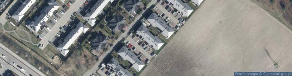 Zdjęcie satelitarne Grzybowa ul.
