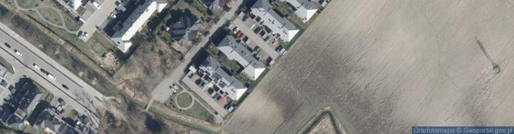 Zdjęcie satelitarne Grzybowa ul.