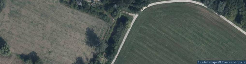 Zdjęcie satelitarne Grunwaldzka ul.