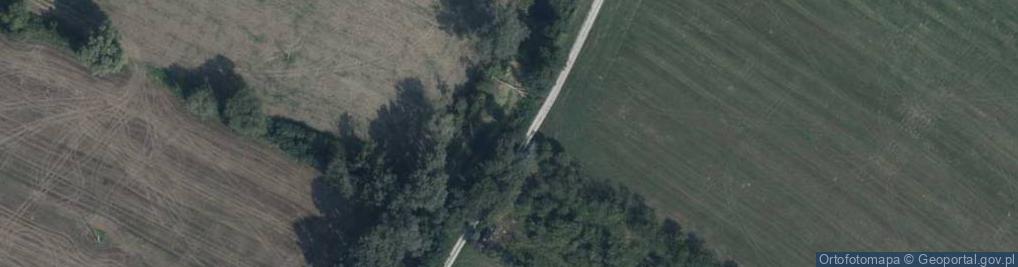 Zdjęcie satelitarne Grunwaldzka ul.