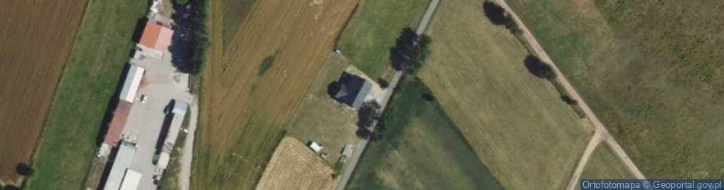 Zdjęcie satelitarne Grzybowa ul.