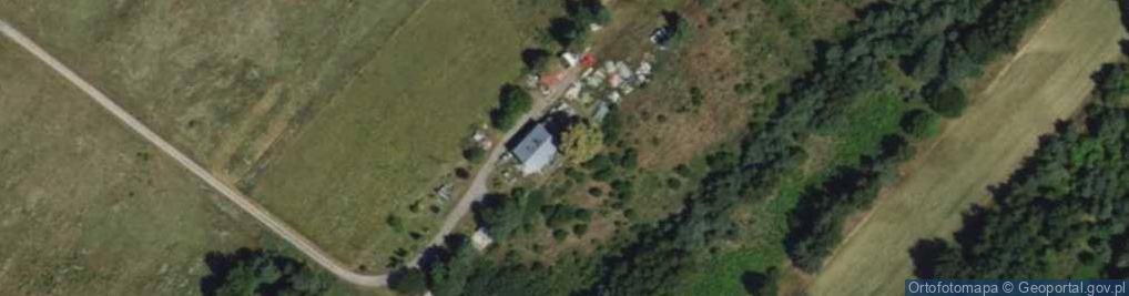 Zdjęcie satelitarne Grzybowa ul.