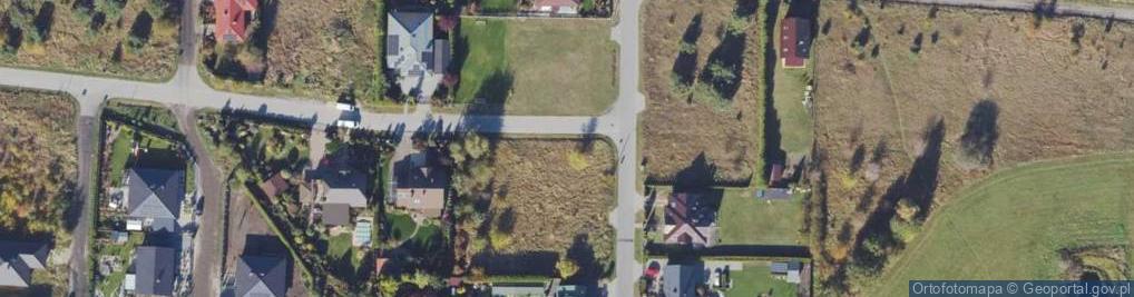 Zdjęcie satelitarne Grzybowa ul.