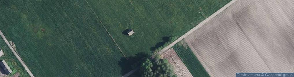 Zdjęcie satelitarne Grzybowa ul.