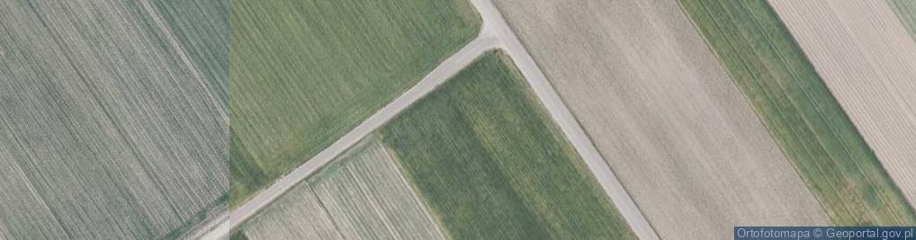 Zdjęcie satelitarne Grzybowa ul.