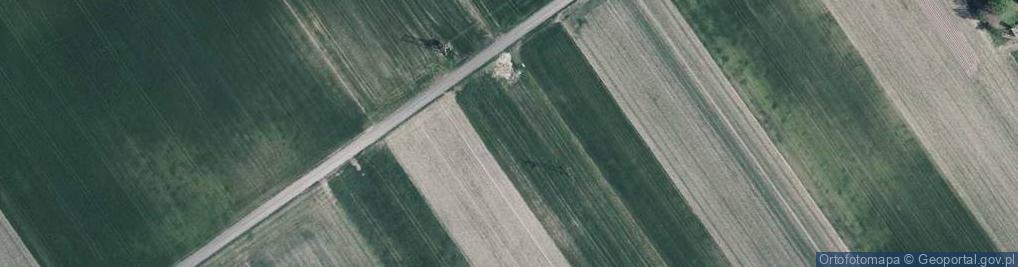 Zdjęcie satelitarne Grzybowa ul.