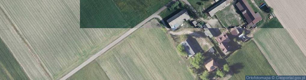 Zdjęcie satelitarne Grzybowa ul.