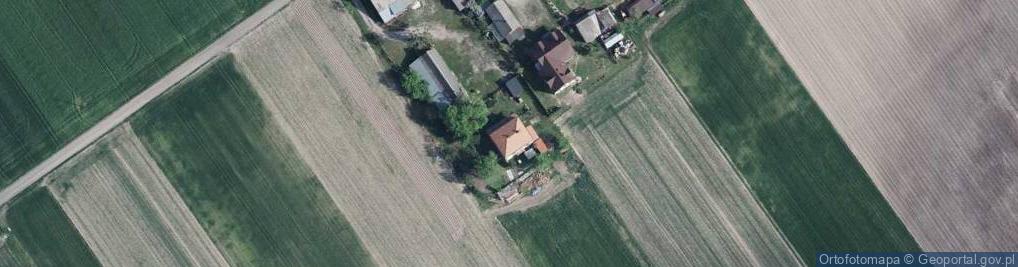 Zdjęcie satelitarne Grzybowa ul.