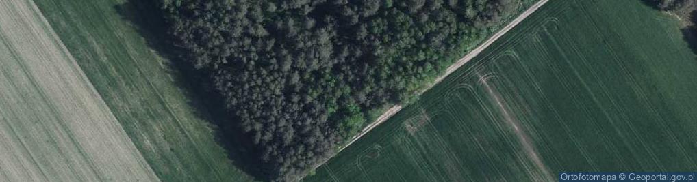 Zdjęcie satelitarne Grzybowa ul.