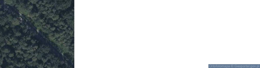 Zdjęcie satelitarne Grzybowa ul.