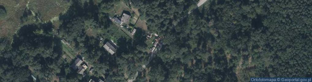 Zdjęcie satelitarne Grzybowa ul.