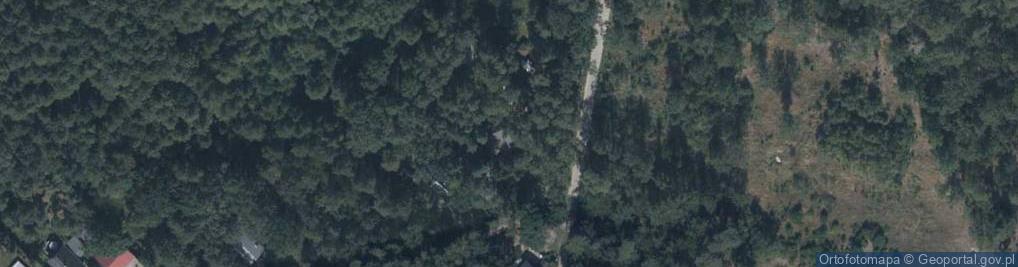 Zdjęcie satelitarne Grzybowa ul.