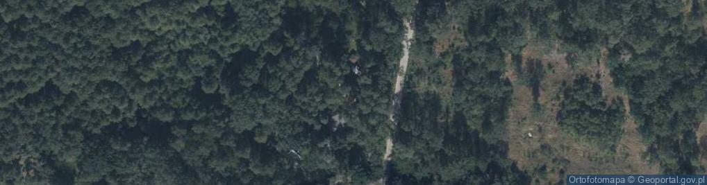 Zdjęcie satelitarne Grzybowa ul.