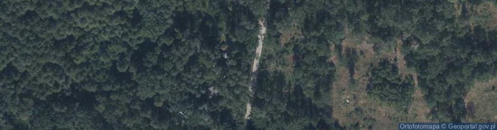 Zdjęcie satelitarne Grzybowa ul.