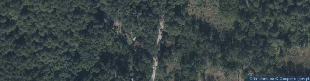 Zdjęcie satelitarne Grzybowa ul.