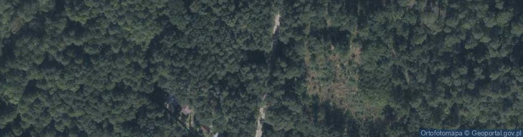 Zdjęcie satelitarne Grzybowa ul.