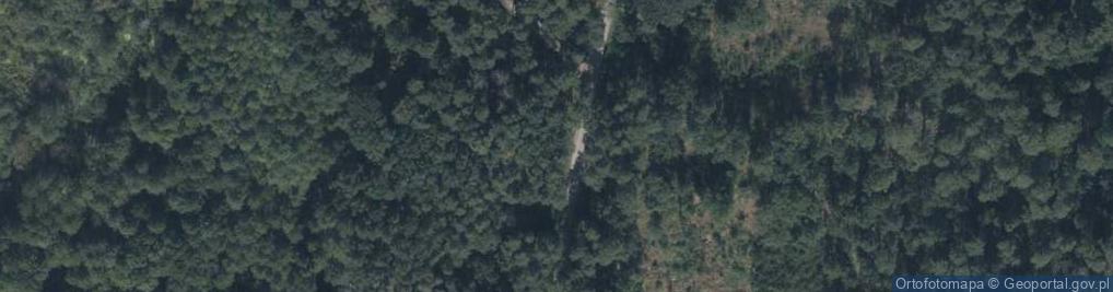 Zdjęcie satelitarne Grzybowa ul.