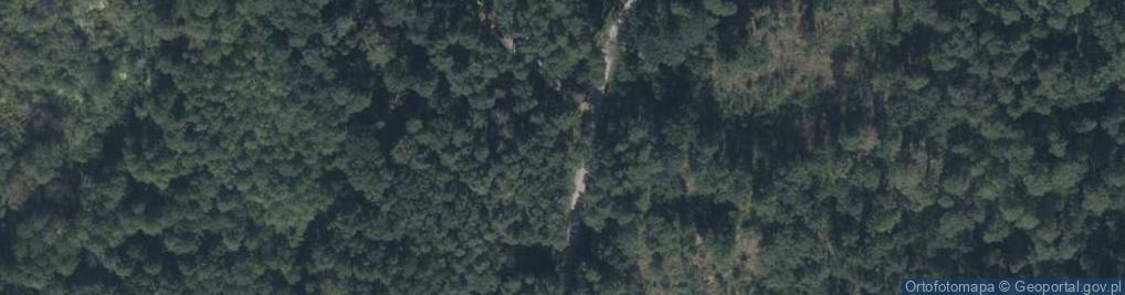 Zdjęcie satelitarne Grzybowa ul.