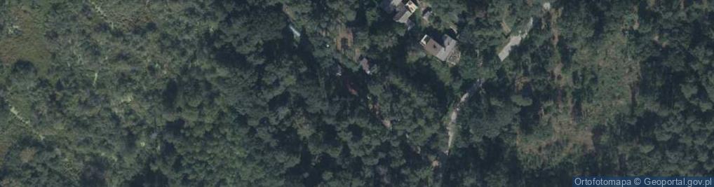 Zdjęcie satelitarne Grzybowa ul.