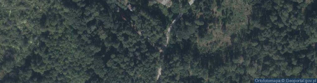 Zdjęcie satelitarne Grzybowa ul.