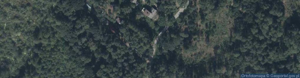 Zdjęcie satelitarne Grzybowa ul.