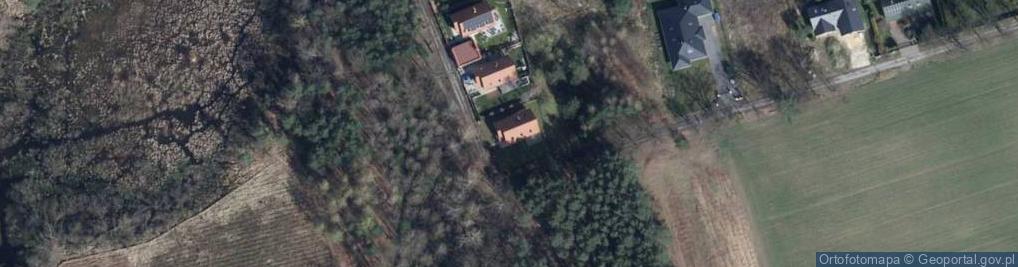 Zdjęcie satelitarne Grzybowa ul.