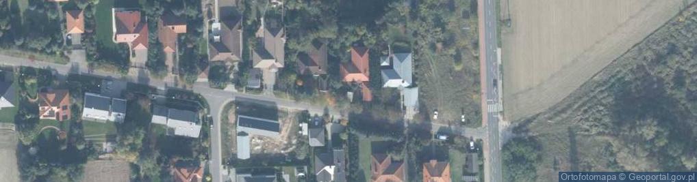 Zdjęcie satelitarne Grzybowa ul.