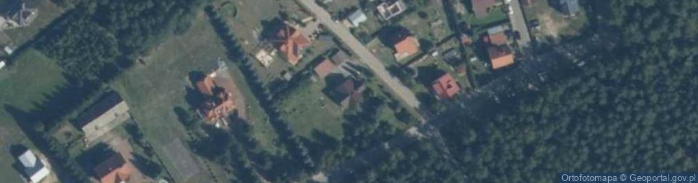 Zdjęcie satelitarne Grzybowa ul.