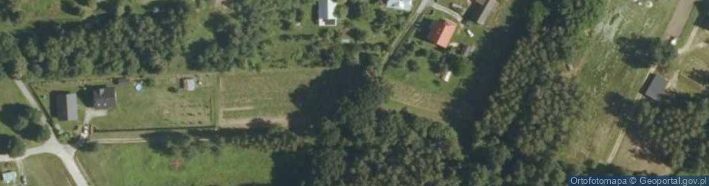 Zdjęcie satelitarne Grzybowa ul.