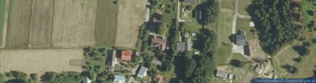 Zdjęcie satelitarne Grzybowa ul.