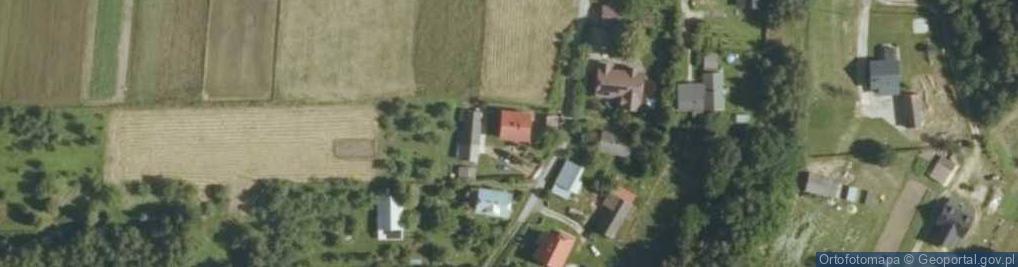 Zdjęcie satelitarne Grzybowa ul.