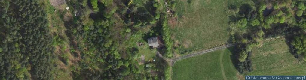 Zdjęcie satelitarne Grzybowa ul.