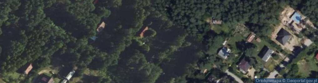 Zdjęcie satelitarne Grzybowa ul.