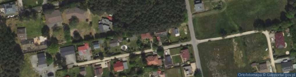 Zdjęcie satelitarne Grzybowa ul.