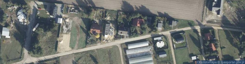 Zdjęcie satelitarne Grzybowa ul.