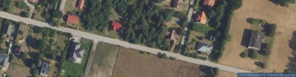 Zdjęcie satelitarne Grupy Kampinos ul.