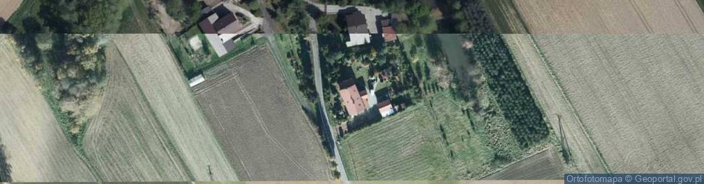 Zdjęcie satelitarne Grunwaldzka ul.