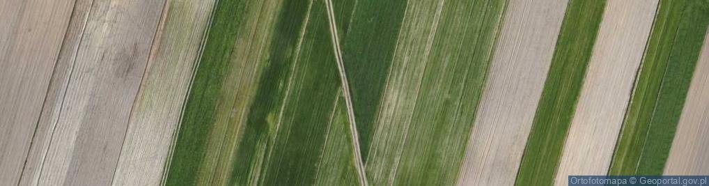 Zdjęcie satelitarne Grabska ul.