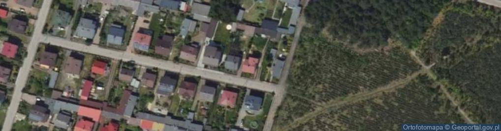 Zdjęcie satelitarne Grzybowa ul.
