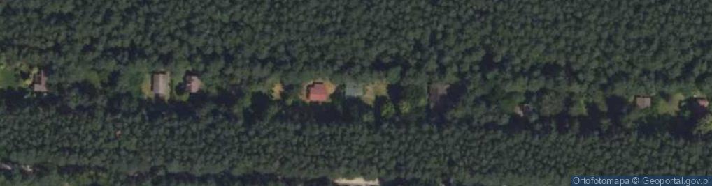 Zdjęcie satelitarne Grzybowa ul.