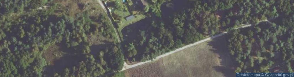 Zdjęcie satelitarne Grzybowa ul.