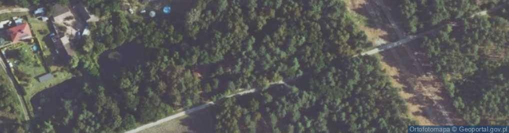 Zdjęcie satelitarne Grzybowa ul.