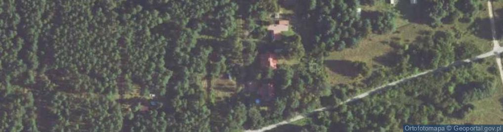 Zdjęcie satelitarne Grzybowa ul.