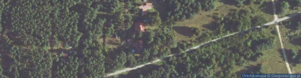 Zdjęcie satelitarne Grzybowa ul.