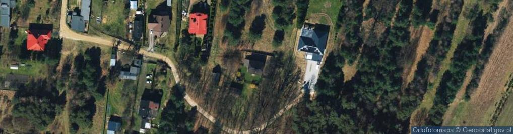 Zdjęcie satelitarne Grzybowa ul.