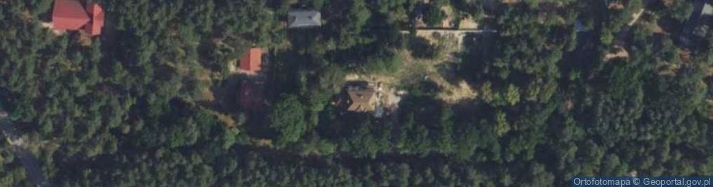 Zdjęcie satelitarne Grzybowa ul.