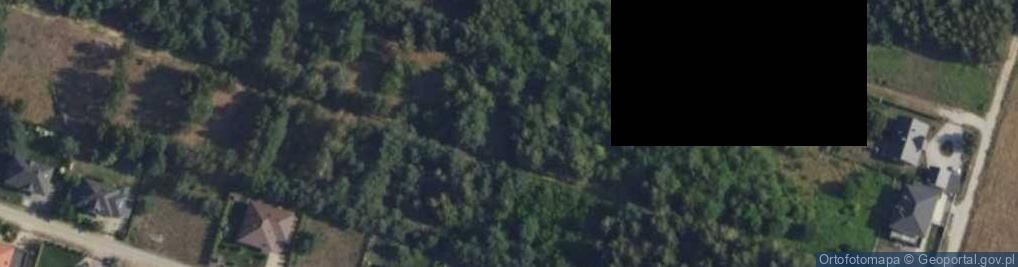 Zdjęcie satelitarne Grzybowa ul.